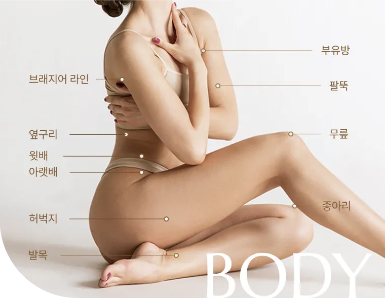 신체 시술 부위를 표시한 도식 — 부유방·팔뚝·무릎·종아리·발목·브래지어라인·옆구리·윗배·아랫배·허벅지
