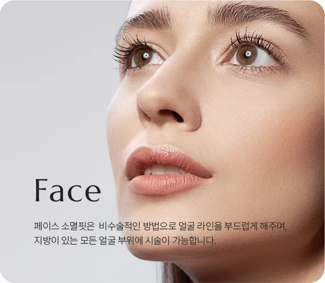 페이스 소멸핏 안내 — 비수술적 방법으로 얼굴 라인을 부드럽게 하는 시술