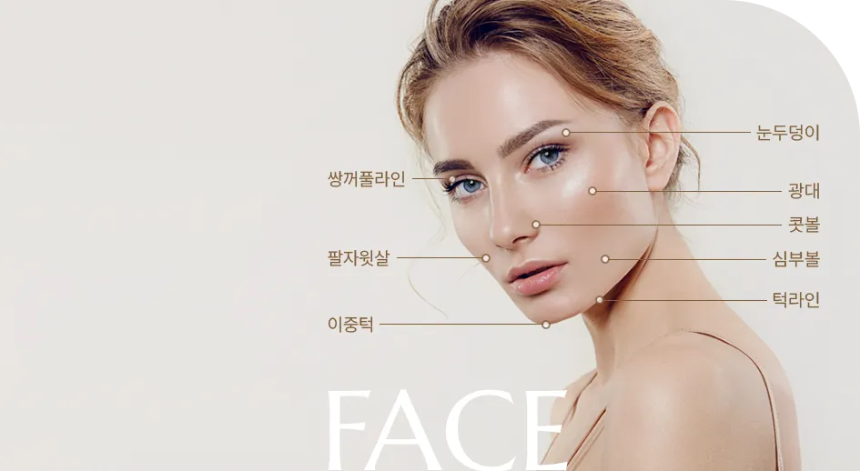 얼굴 시술 부위를 표시한 도식 — 눈두덩이·광대·콧볼·심부볼·턱라인·쌍꺼풀라인·팔자윗살·이중턱
