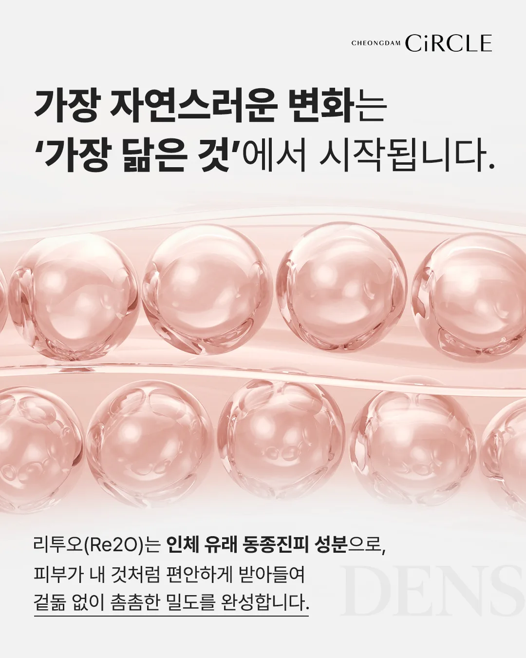 [의학 칼럼] 리투오(Re2O) 스킨부스터, 인체 유래 동종진피로 피부 속 밀도를 관리하는 방법 (7/8)