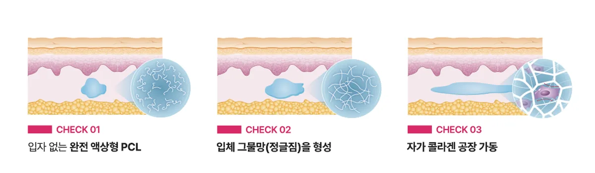 고우리(GOURI) 리프팅 스킨부스터, 액상형 PCL로 피부 속 콜라겐과 탄력을 관리하는 방법 (3/9)